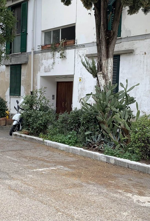 appartamento in vendita a Firenze in zona Careggi