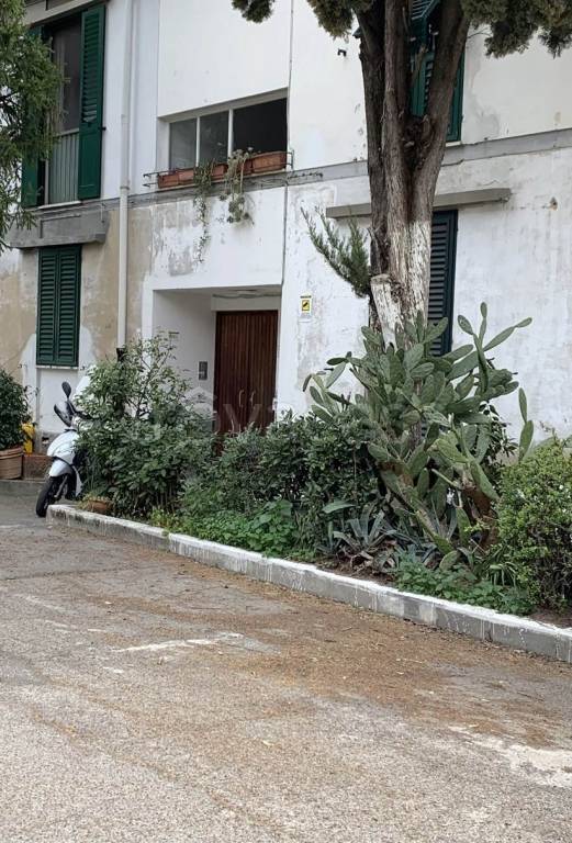 appartamento in vendita a Firenze in zona Careggi