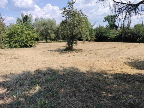 terreno agricolo in vendita a Firenze in zona Brozzi