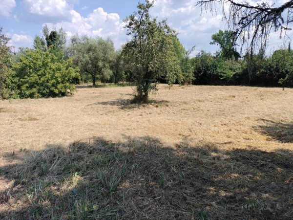 terreno agricolo in vendita a Firenze in zona Brozzi