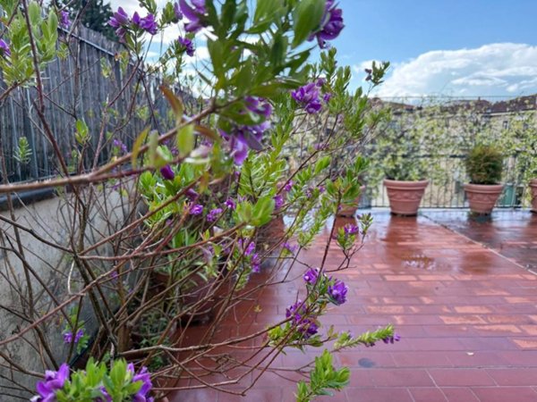 appartamento in vendita a Firenze in zona Campo di Marte