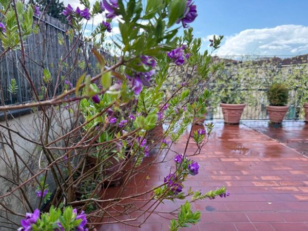 appartamento in vendita a Firenze in zona Campo di Marte
