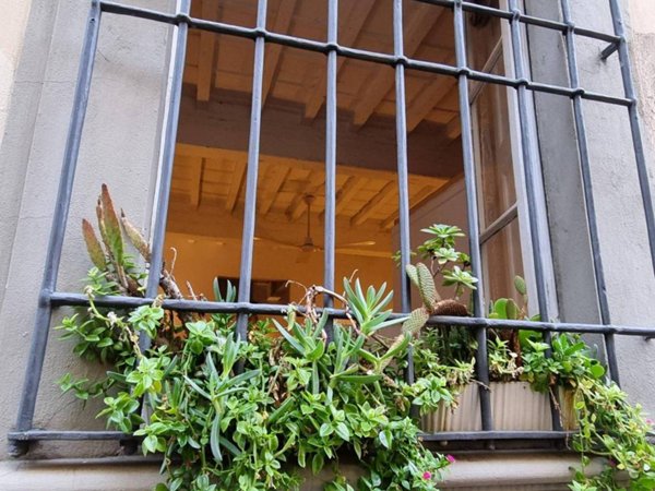 appartamento in vendita a Firenze in zona Centro Santa Croce
