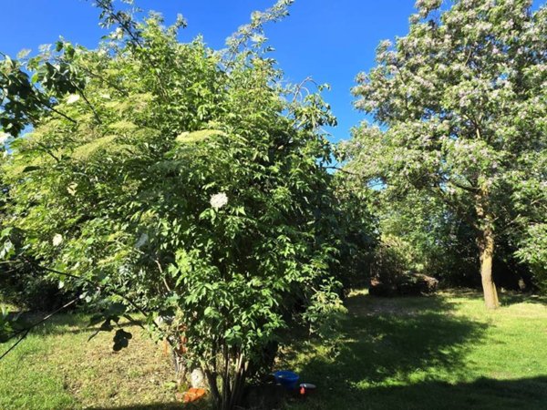 casa indipendente in vendita a Firenze in zona Mantignano