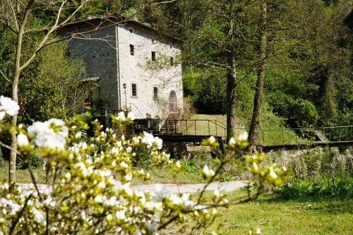 casa indipendente in vendita a Firenze in zona Centro San Lorenzo
