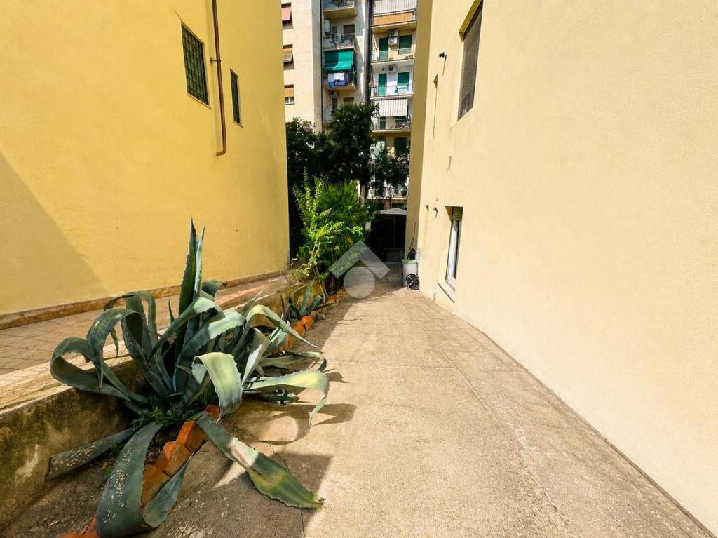 appartamento in vendita a Firenze in zona Bellariva