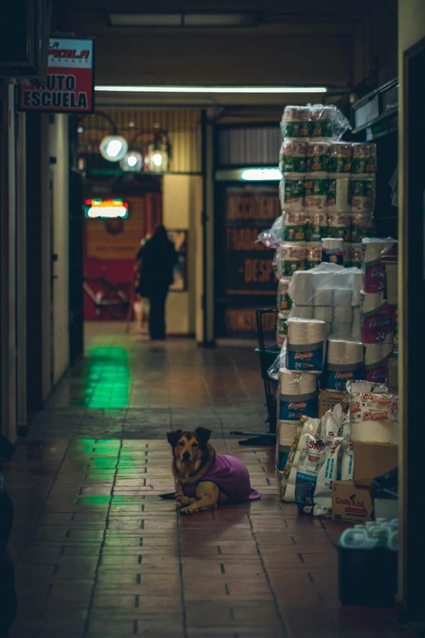 negozio in vendita a Firenze in zona Campo di Marte