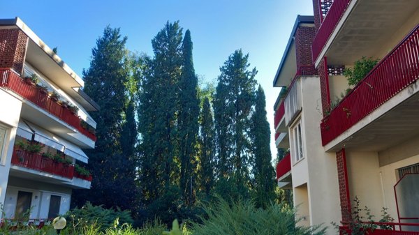 appartamento in vendita a Firenze in zona Coverciano
