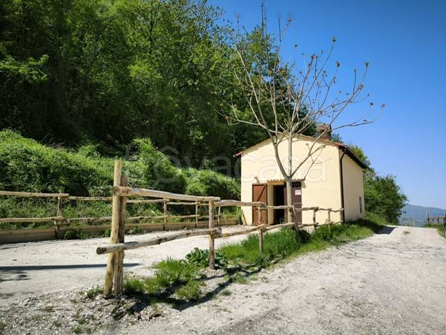 appartamento in vendita a Firenzuola in zona Rifredo