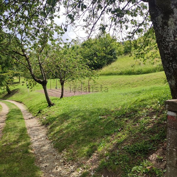 appartamento in vendita a Firenzuola