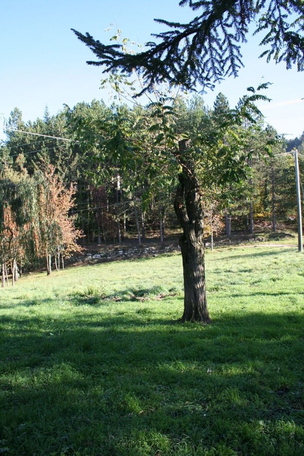 appartamento in vendita a Firenzuola