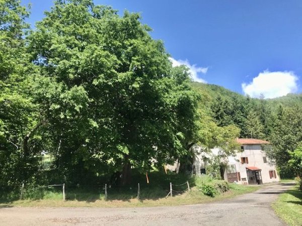 casa indipendente in vendita a Firenzuola in zona Pietramala