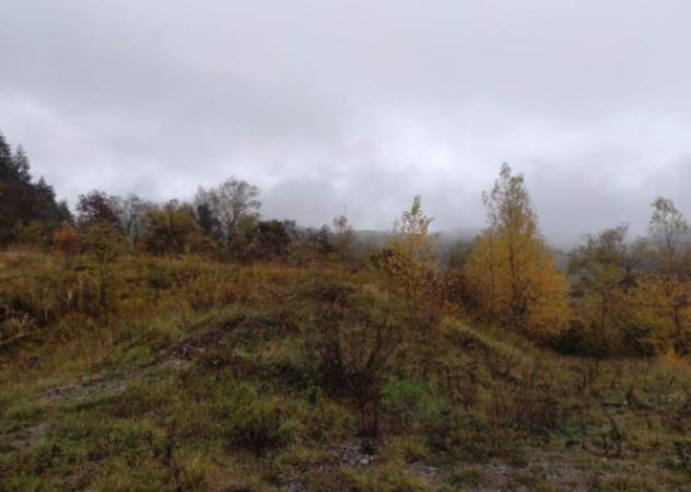 terreno agricolo in vendita a Firenzuola in zona Pietramala