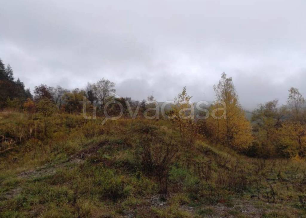 terreno agricolo in vendita a Firenzuola in zona Pietramala