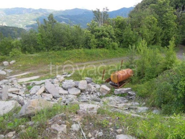 terreno agricolo in vendita a Firenzuola