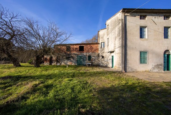 esavano in vendita a Fucecchio in zona Querce