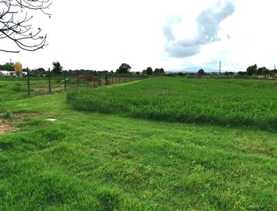 terreno agricolo in vendita a Fucecchio