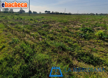 appartamento in vendita a Fucecchio
