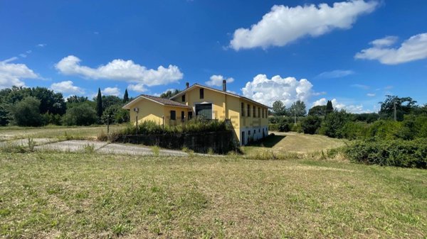 azienda agricola in vendita a Fucecchio