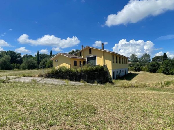 esavano in vendita a Fucecchio