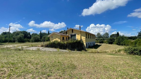 esavano in vendita a Fucecchio