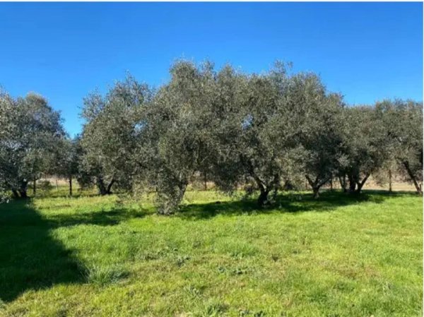 casa indipendente in vendita a Fucecchio