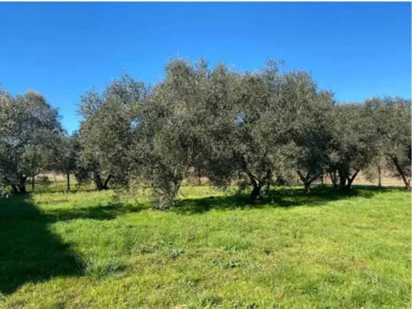 casa indipendente in vendita a Fucecchio
