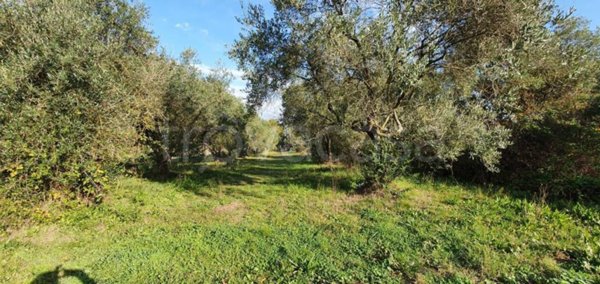 locale commerciale in vendita a Fucecchio in zona Galleno