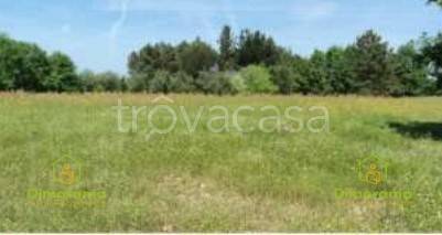 terreno agricolo in vendita a Fucecchio