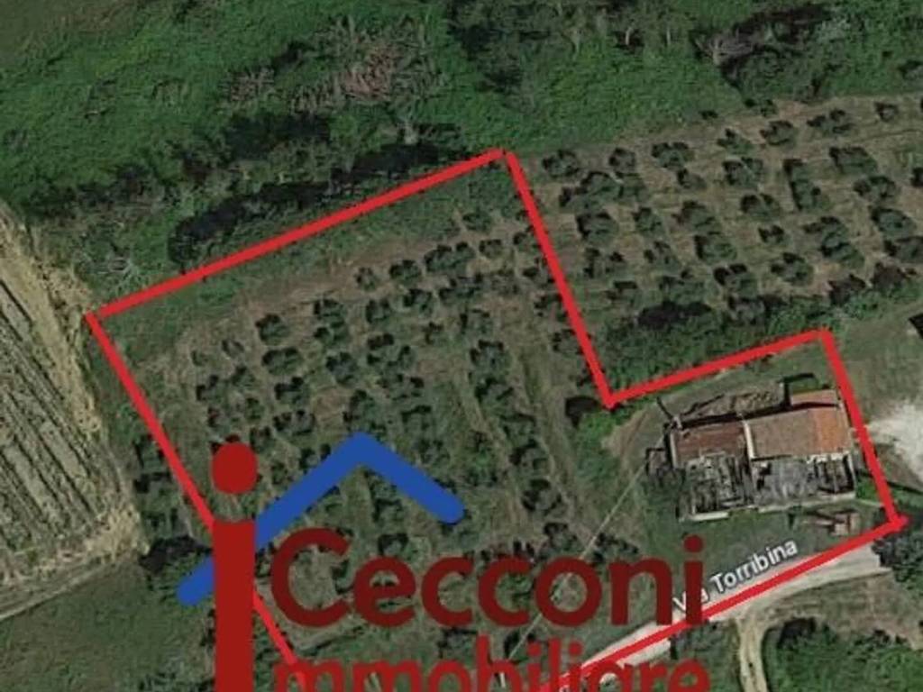 terreno agricolo in vendita a Fucecchio