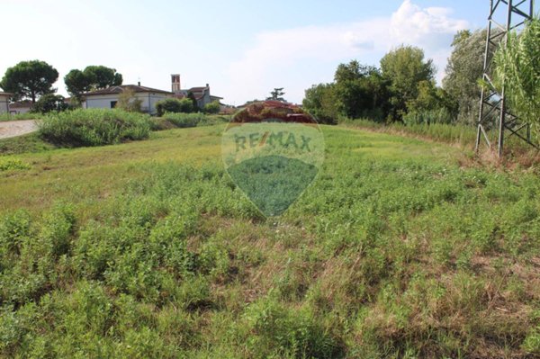 terreno agricolo in vendita a Fucecchio in zona San Pierino
