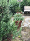 appartamento in vendita a Fucecchio