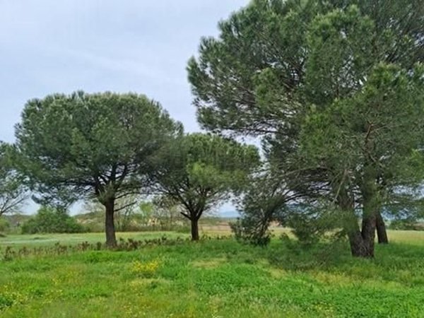 appartamento in vendita a Fucecchio in zona Querce