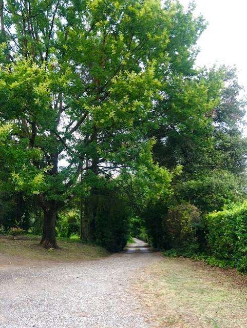 immagine annuncio 0 di 11