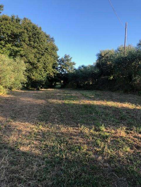 casa indipendente in vendita a Fucecchio in zona Massarella