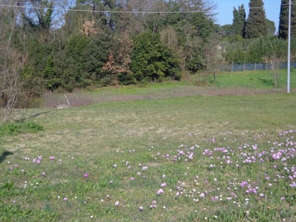 terreno edificabile in vendita a Fucecchio