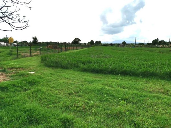 terreno agricolo in vendita a Fucecchio in zona Le Botteghe