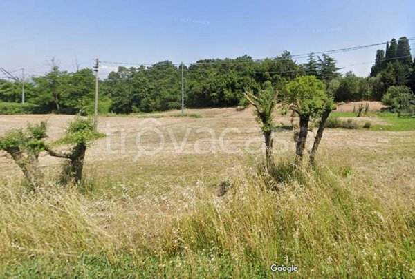 terreno agricolo in vendita a Fucecchio