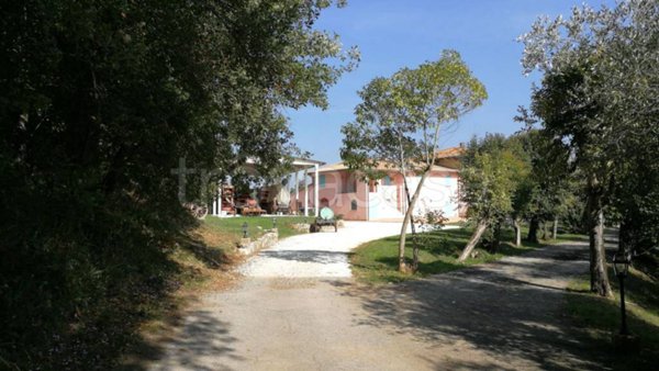 azienda agricola in vendita a Fucecchio