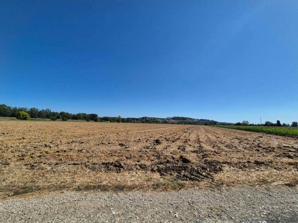 terreno agricolo in vendita a Fucecchio