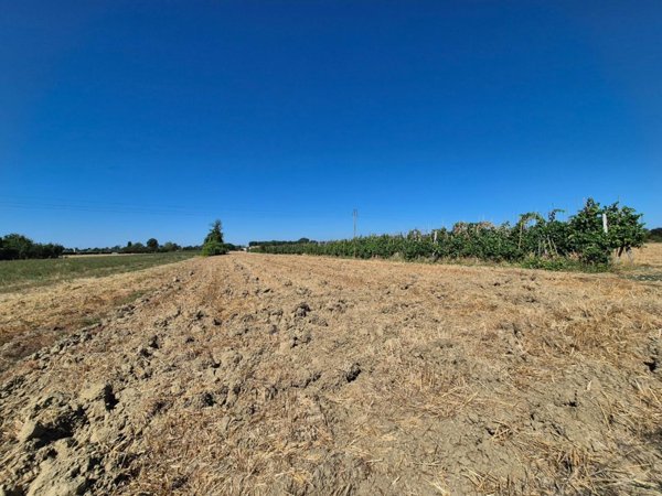 terreno agricolo in vendita a Fucecchio