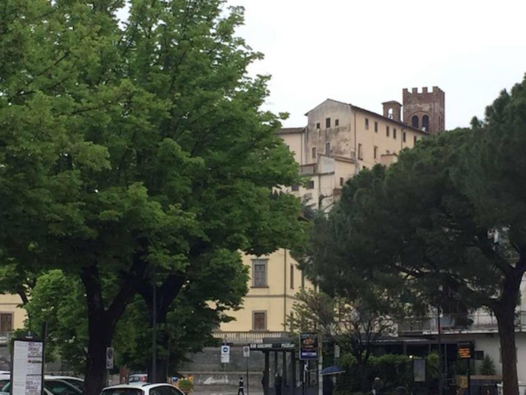 negozio in vendita a Fucecchio
