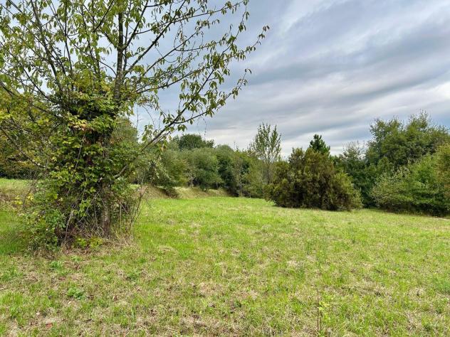 terreno agricolo in vendita a Fucecchio in zona Massarella