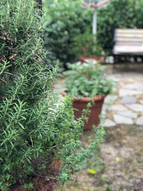 appartamento in vendita a Fucecchio