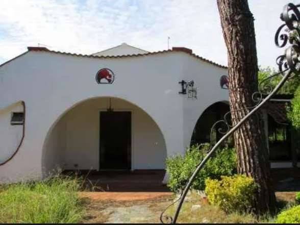 negozio in vendita a Fucecchio in zona Massarella