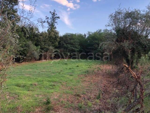 casa indipendente in vendita a Fucecchio in zona Massarella