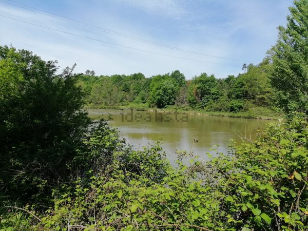 terreno agricolo in vendita a Fucecchio