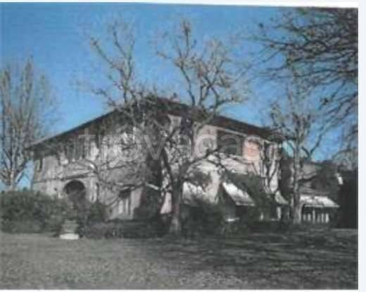 azienda agricola in vendita a Fucecchio