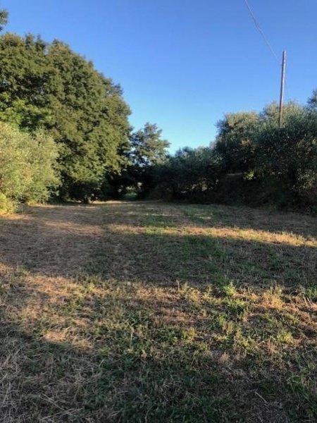 casa indipendente in vendita a Fucecchio in zona Massarella