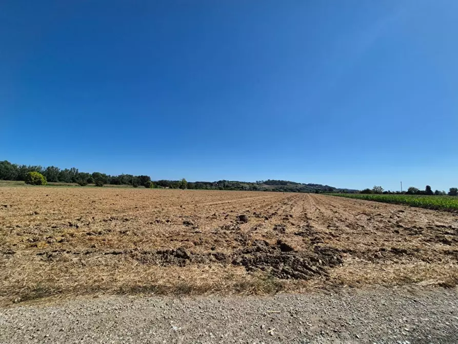 terreno agricolo in vendita a Fucecchio